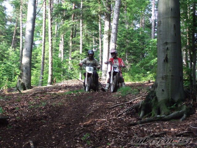 2002 YAMAHA YZ 426F | Picture 1319399 motorcycle photo