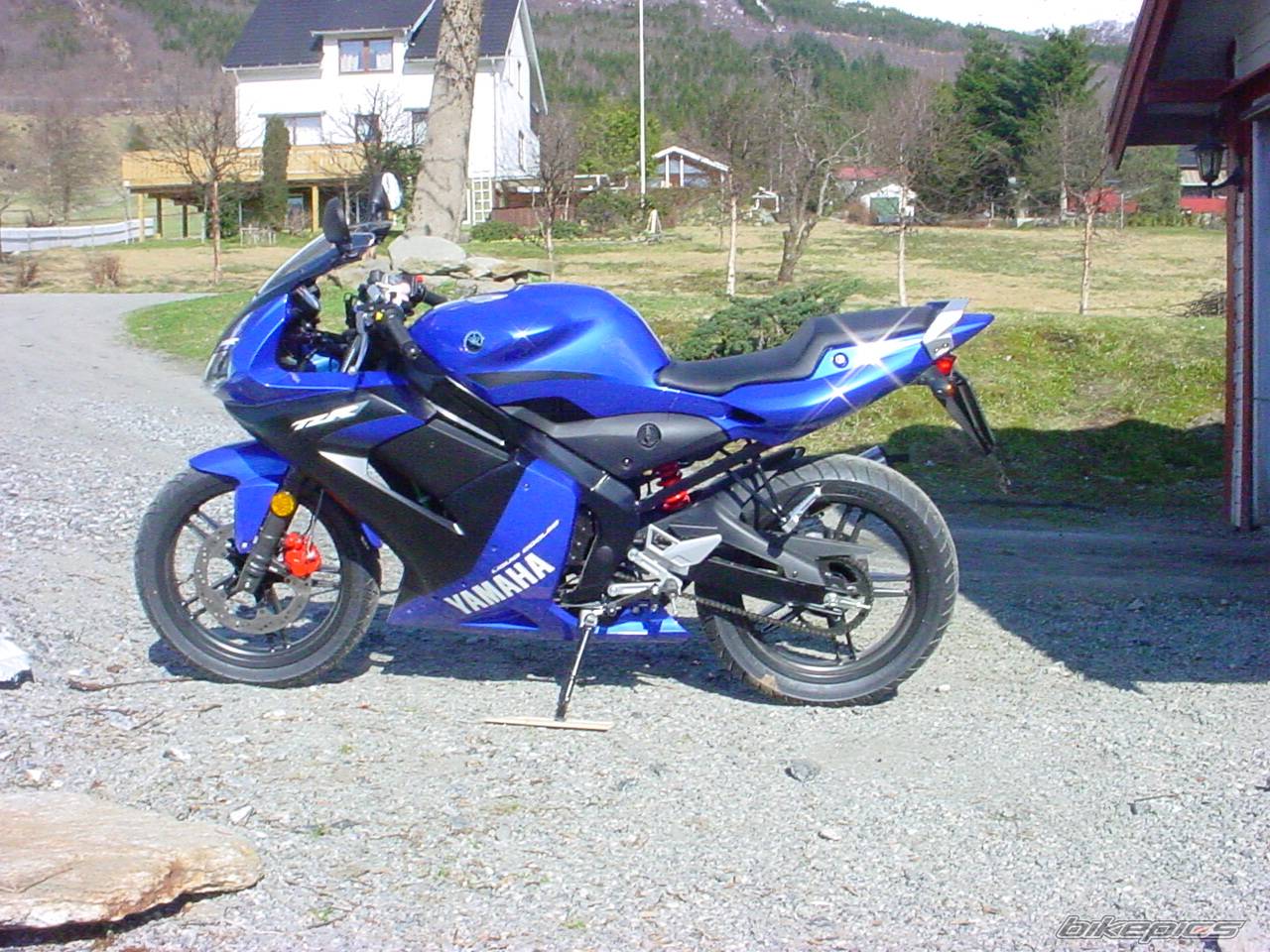 2004 YAMAHA TZR 50 | Picture 131958 motorcycle photo