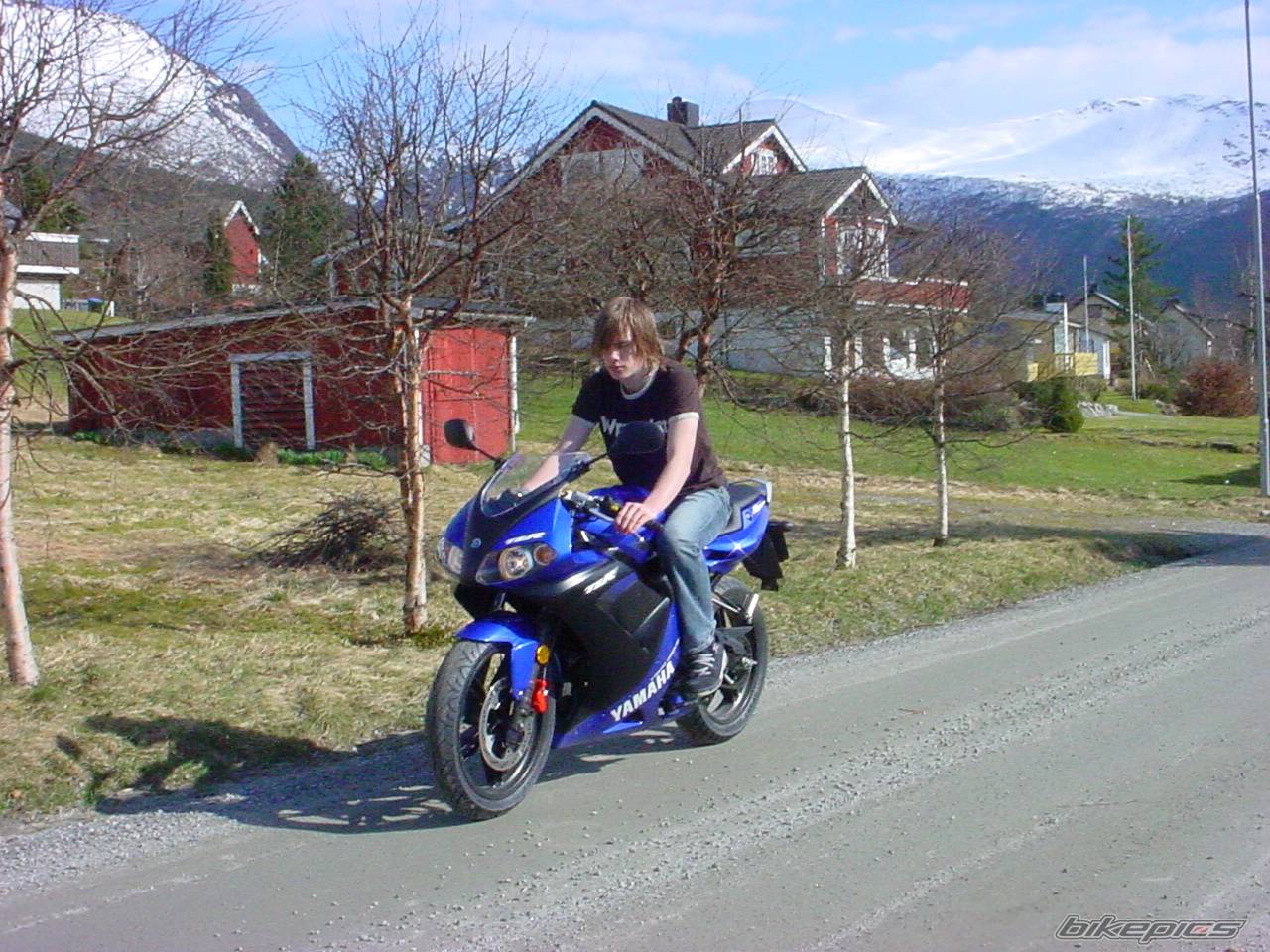 2004 YAMAHA TZR 50 | Picture 131959 motorcycle photo