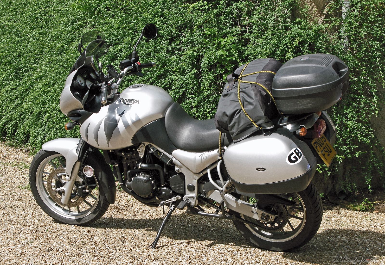 2005 TRIUMPH TIGER | Picture 1320770 motorcycle photo