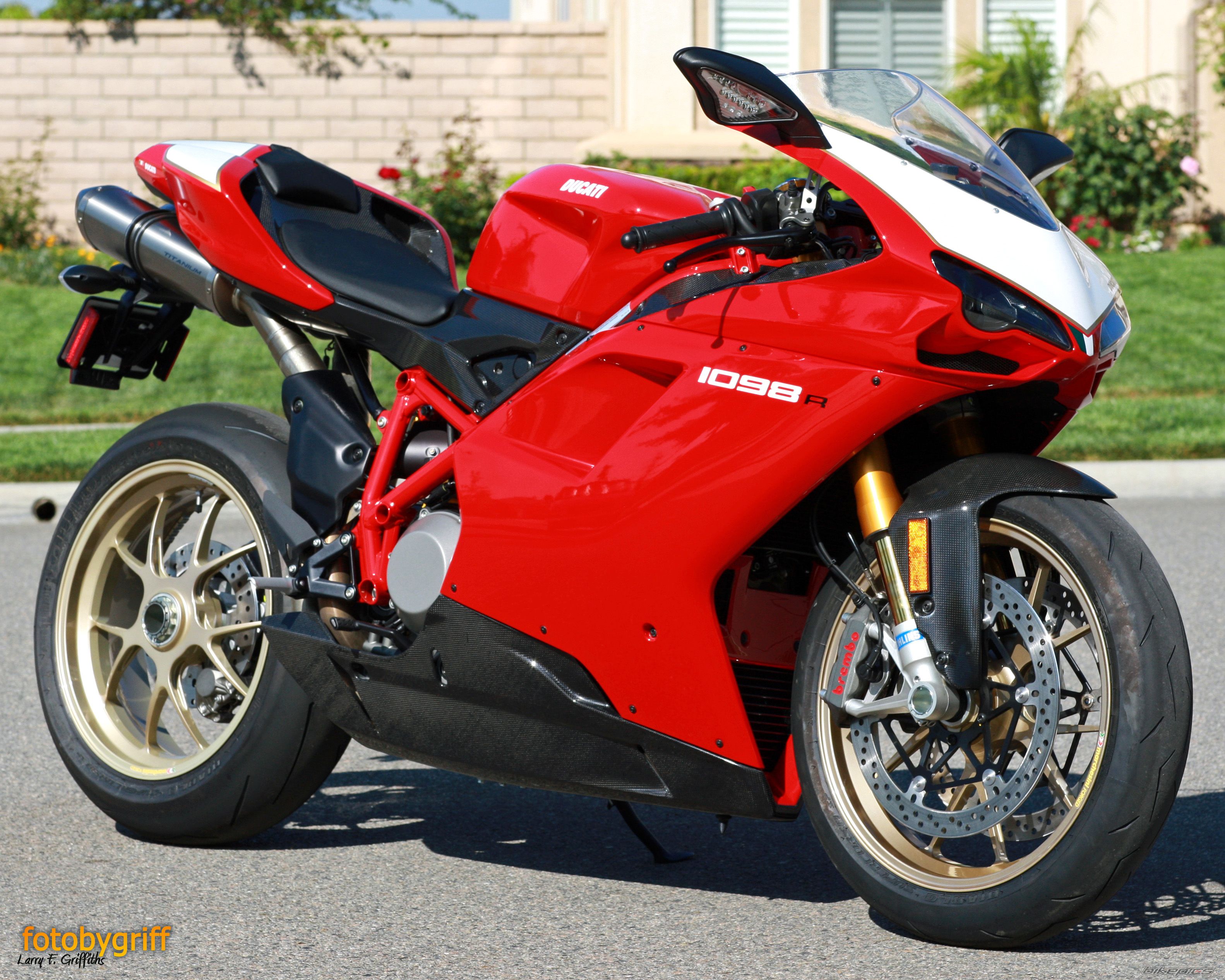 2008 DUCATI 1098 | Picture 1320866 motorcycle photo