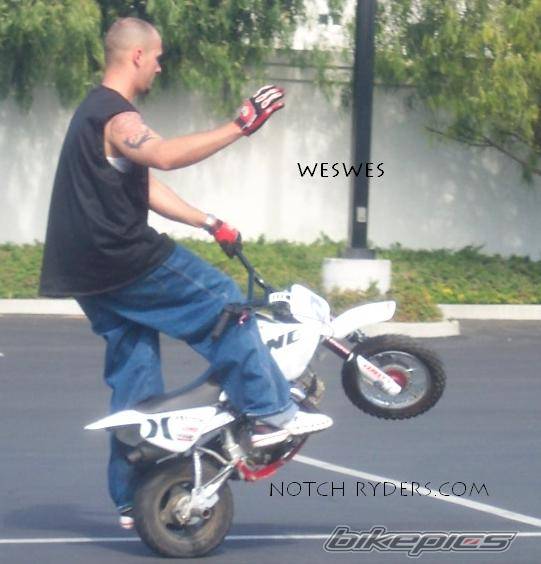 2002 HONDA XR 50 | Picture 132129 motorcycle photo