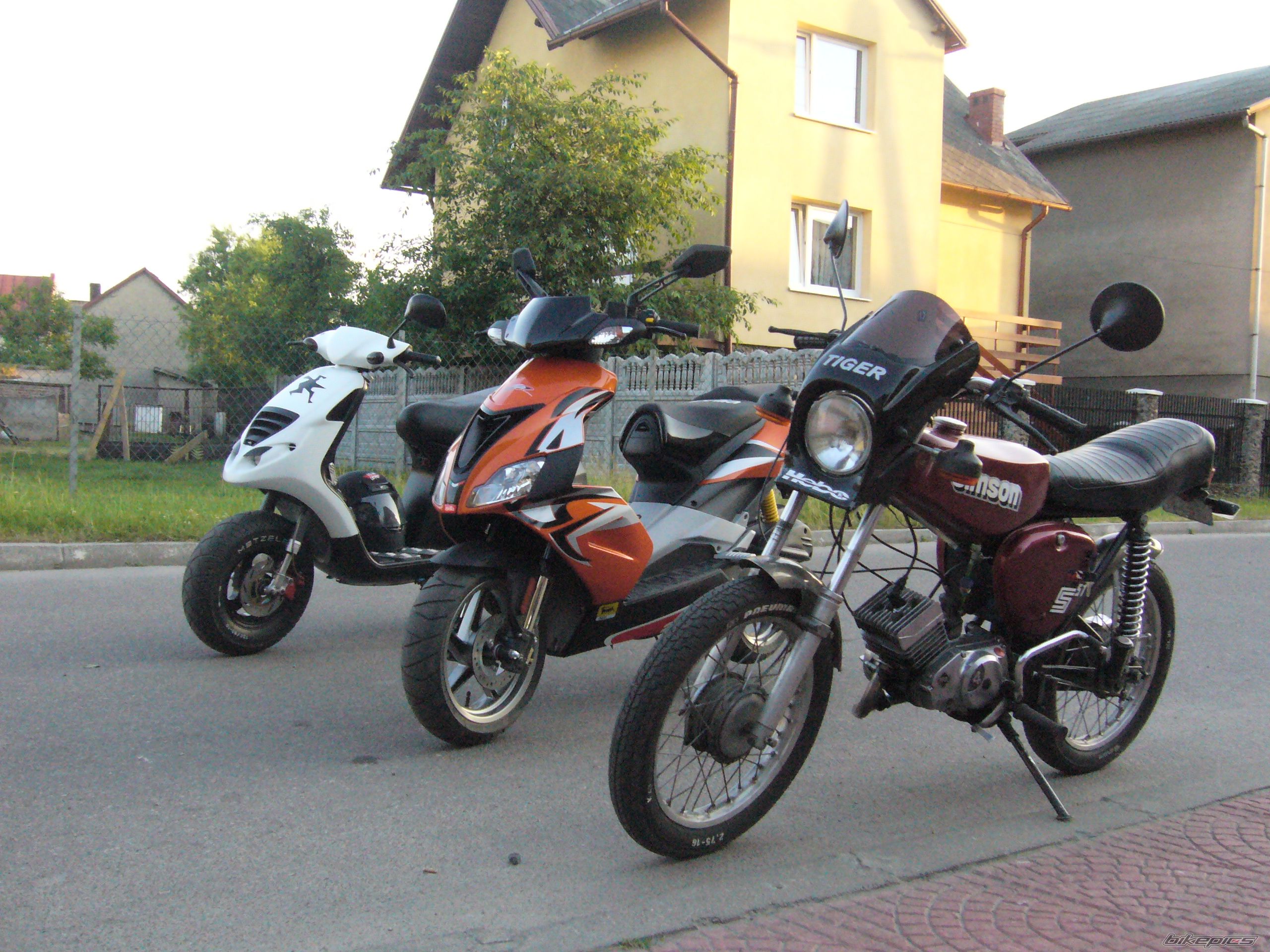 2008 APRILIA SR 50 | Picture 1321365 motorcycle photo