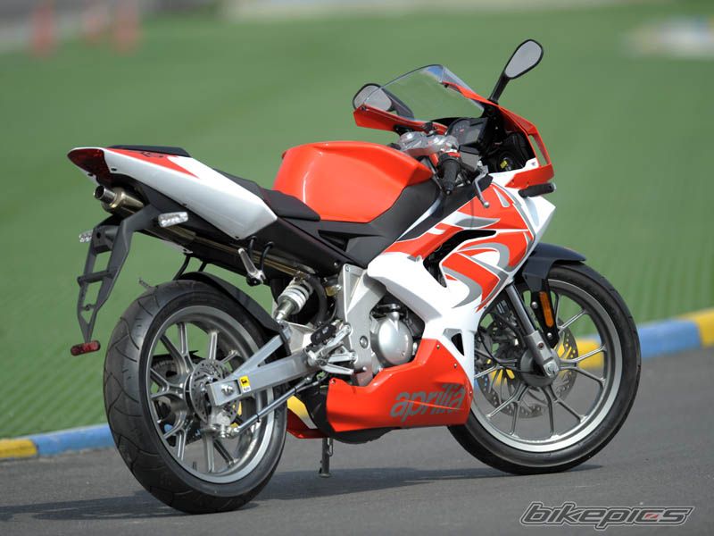 2008 APRILIA RS 50 | Picture 1321631 motorcycle photo