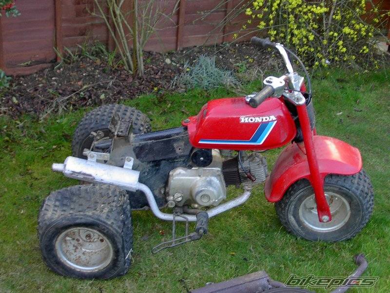 1982 HONDA ATC 70 | Picture 132177 motorcycle photo