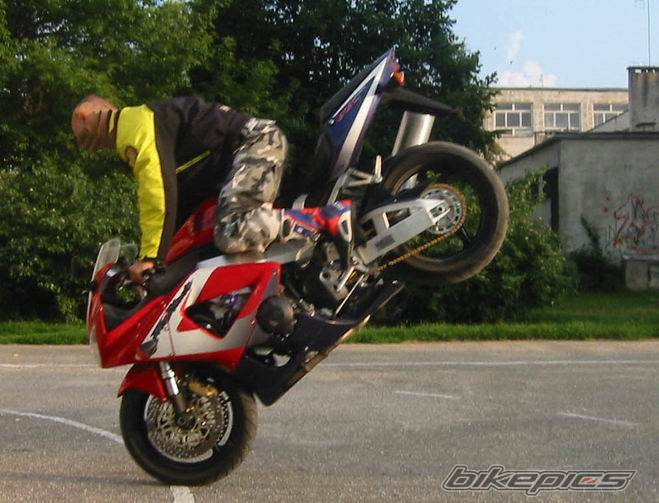 2001 HONDA CBR 900 | Picture 132209 motorcycle photo