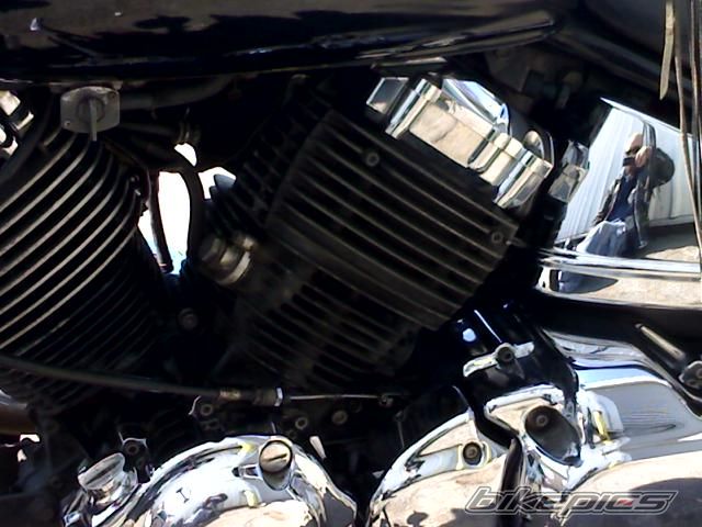 1998 YAMAHA XVS 650 DRAG STAR CLASSIC | Picture 1322261 motorcycle photo
