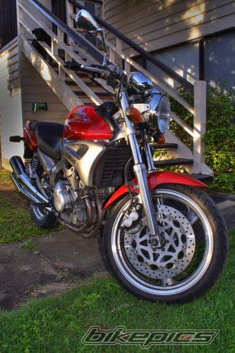 1998 YAMAHA FZX 250 | Picture 1322357 motorcycle photo