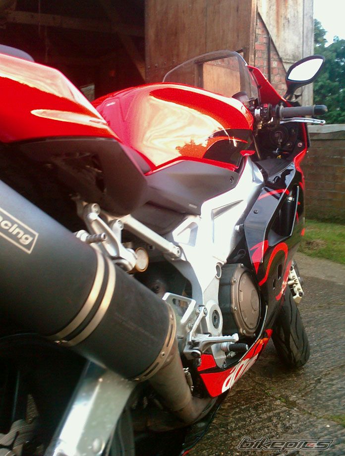2005 APRILIA RSV 1000R MILLE | Picture 1322941 motorcycle photo