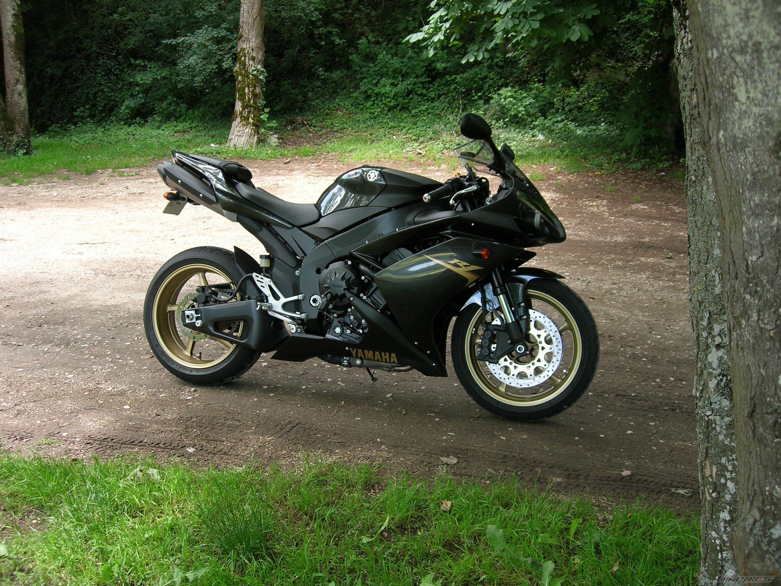 2008 YAMAHA YZF R1 | Picture 1323321 motorcycle photo