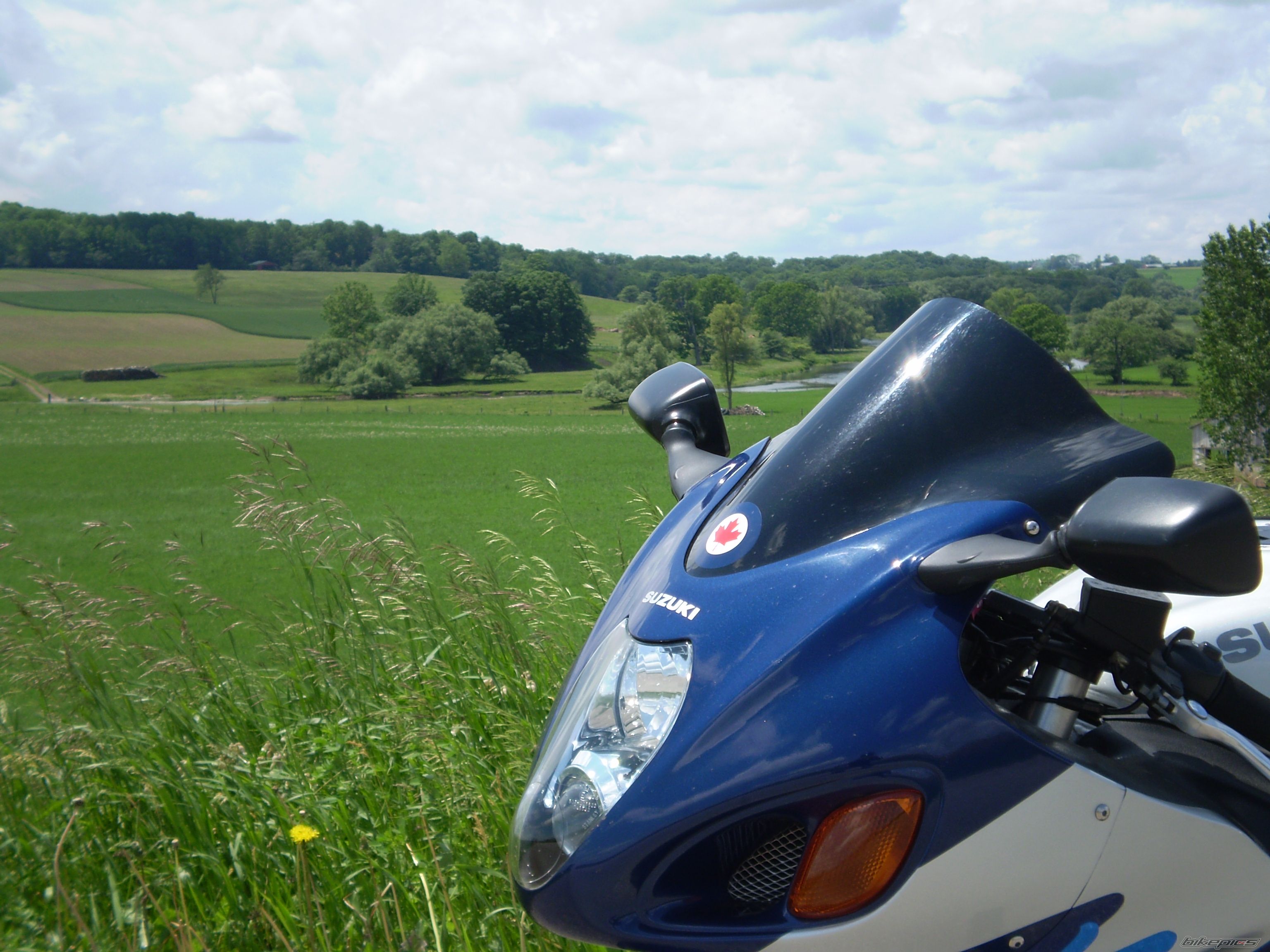 2000 SUZUKI HAYABUSA | Picture 1323511 motorcycle photo