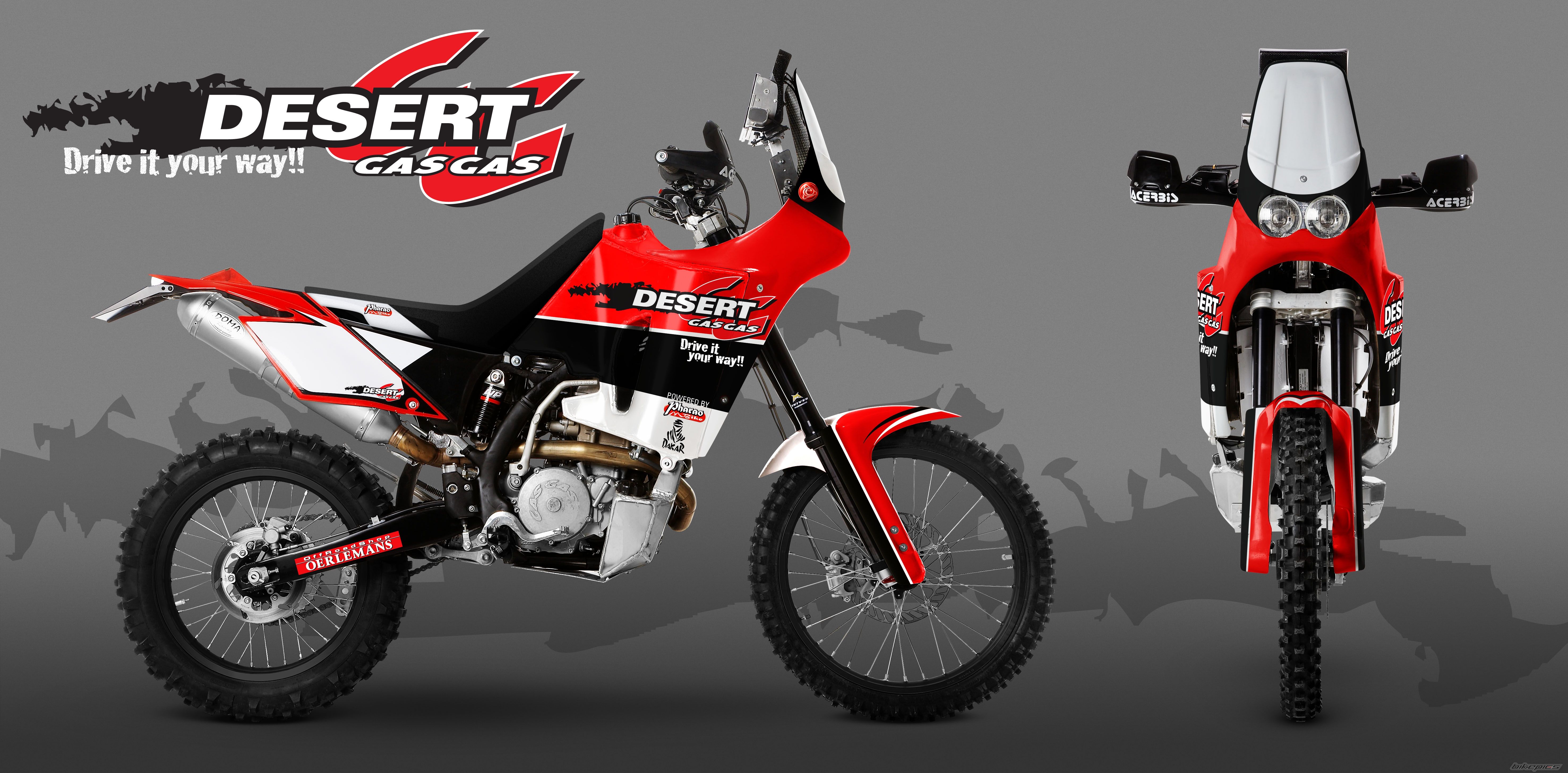 2008 GAS GAS FSE 450 | Picture 1323643 motorcycle photo