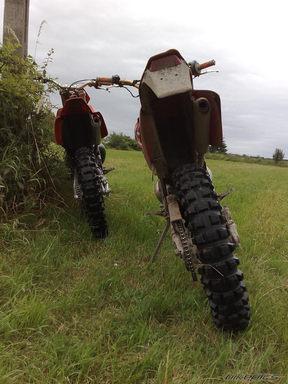 2006 KTM 250 SX | Picture 1323792 motorcycle photo