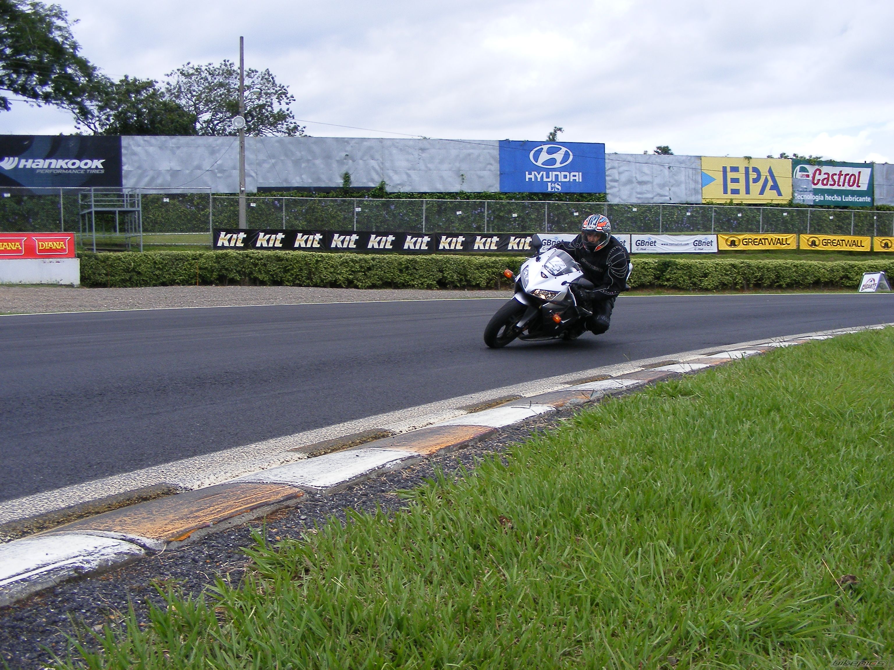 2006 HONDA CBR 600 RR | Picture 1324054 motorcycle photo