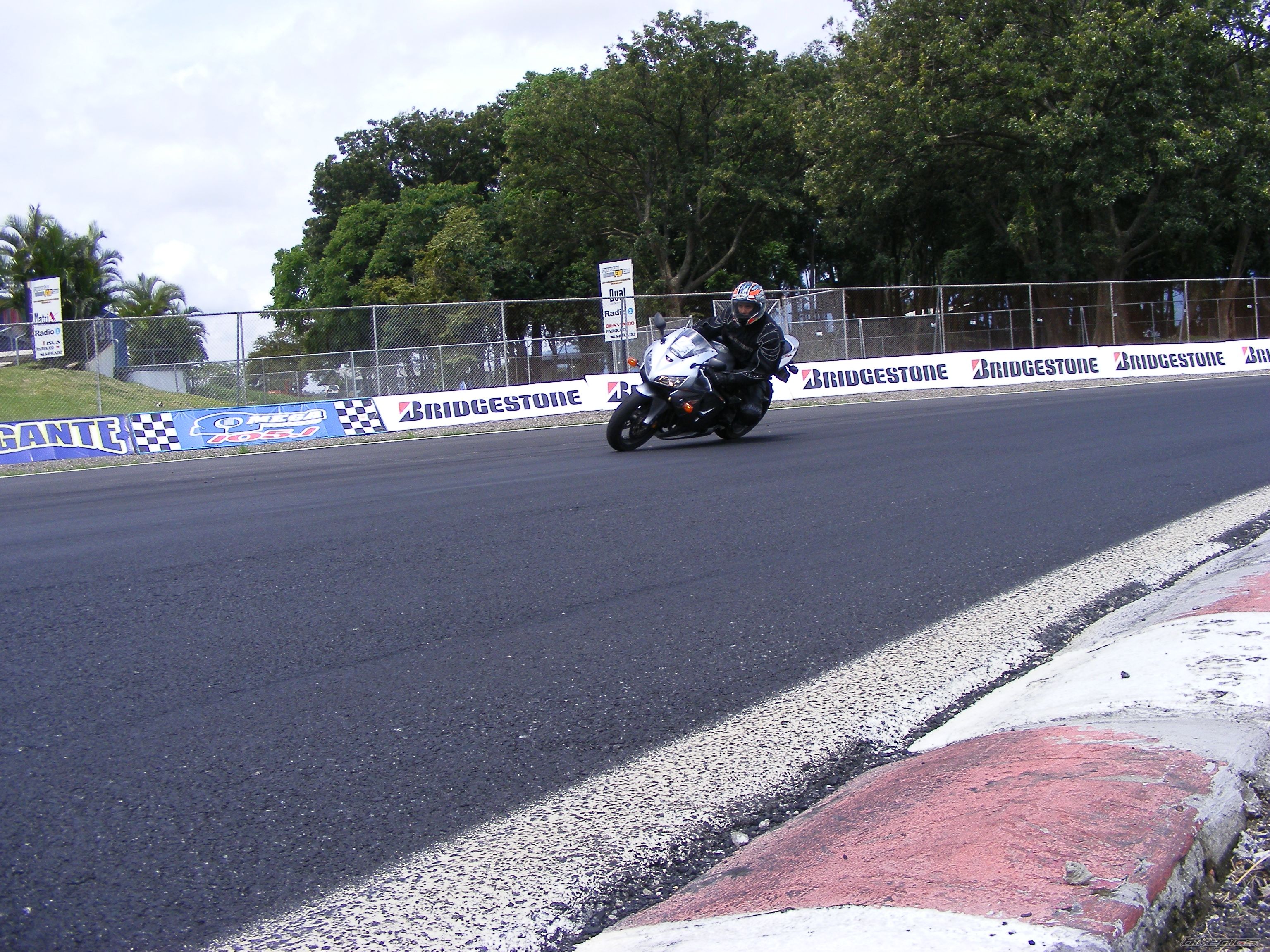 2006 HONDA CBR 600 RR | Picture 1324084 motorcycle photo