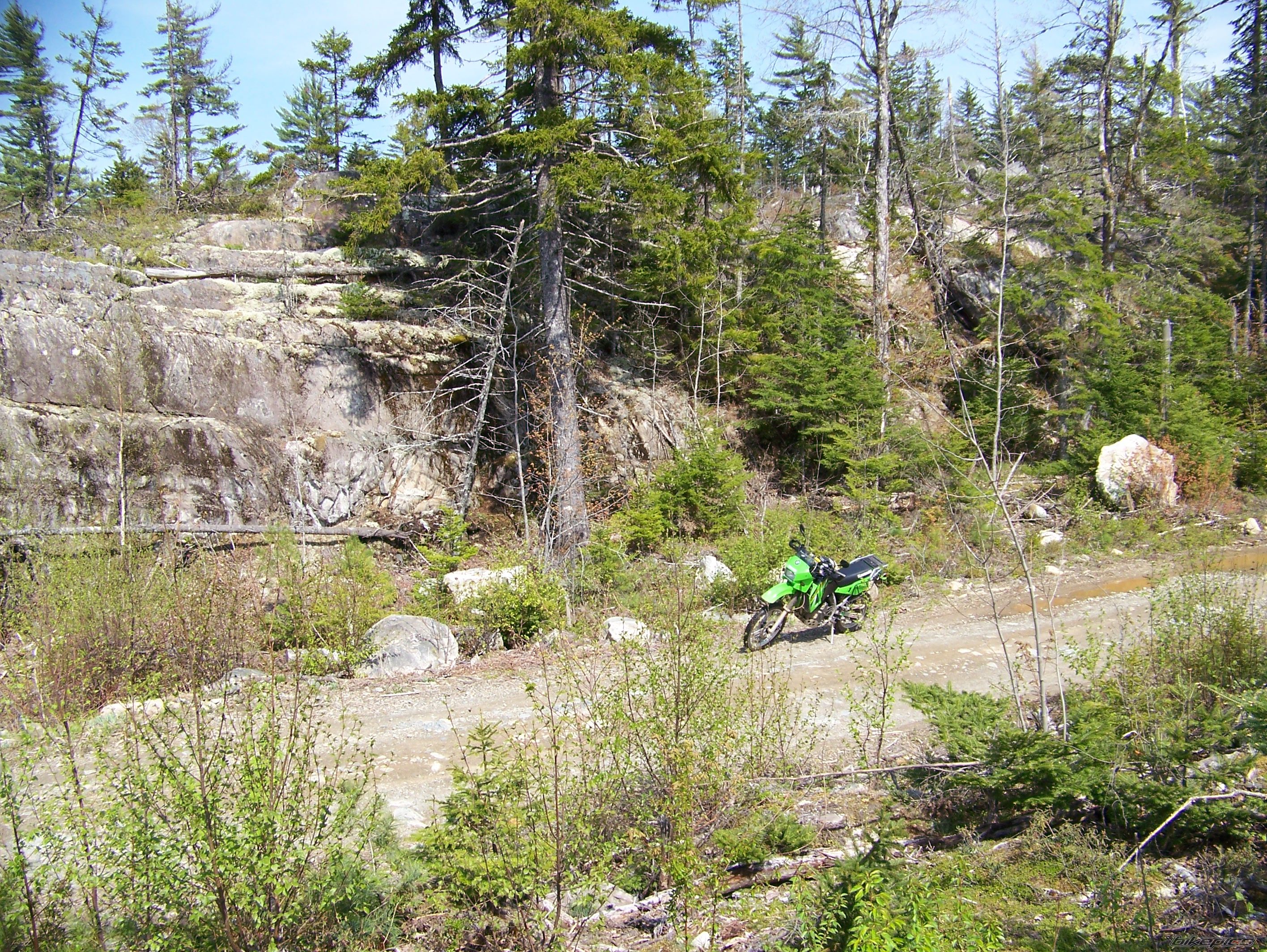 2006 KAWASAKI KLR 650 | Picture 1324134 motorcycle photo