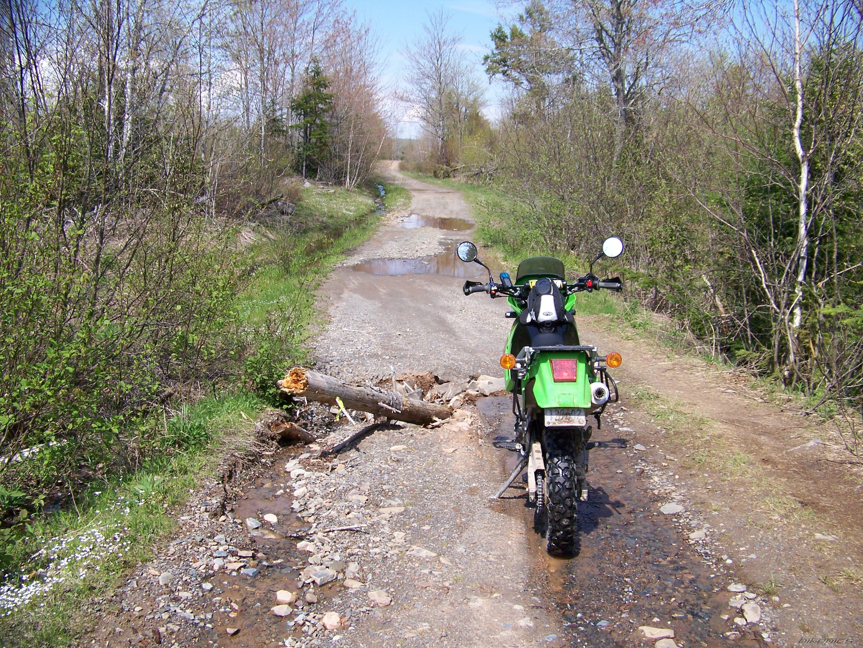 2006 KAWASAKI KLR 650 | Picture 1324135 motorcycle photo