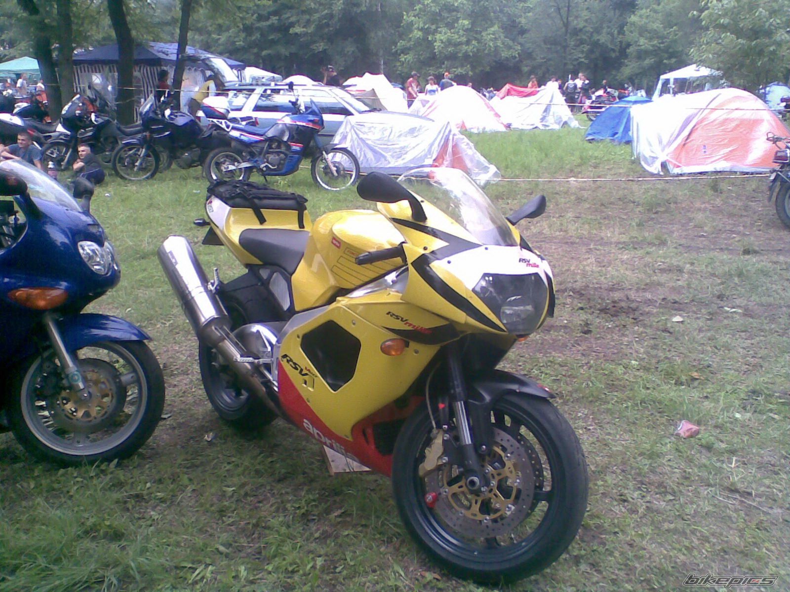 2001 APRILIA RSV 1000 MILLE | Picture 1324232 motorcycle photo