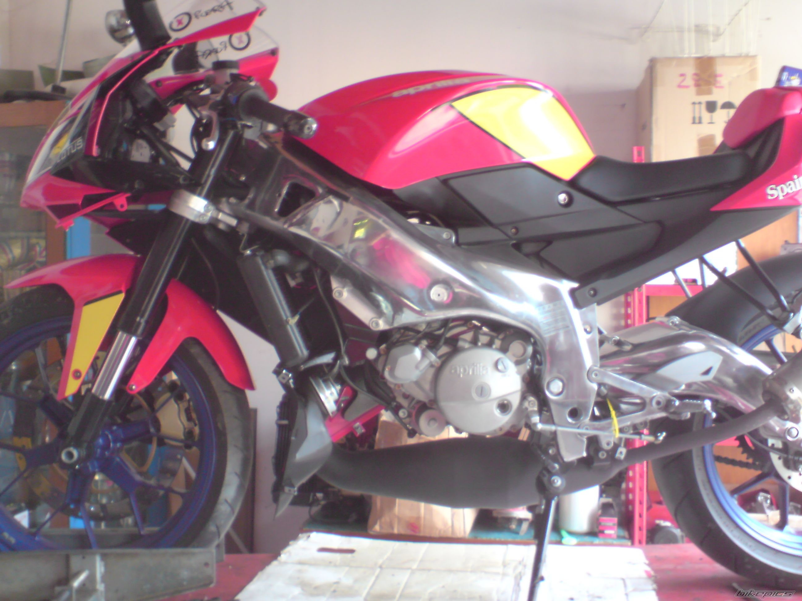 2008 APRILIA RS 125 | Picture 1324650 motorcycle photo