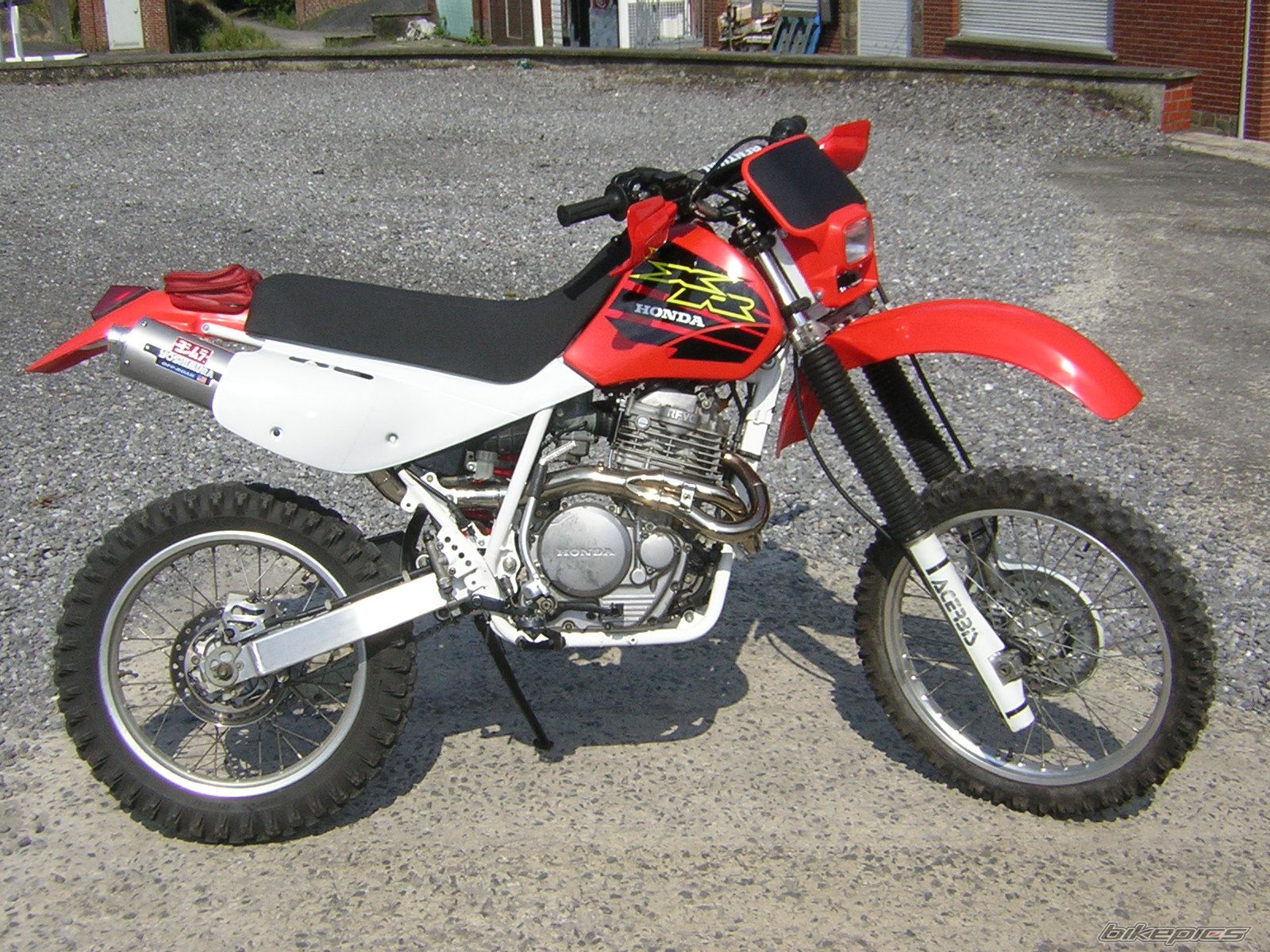 2008 HONDA XR 600 | Picture 1324826 motorcycle photo