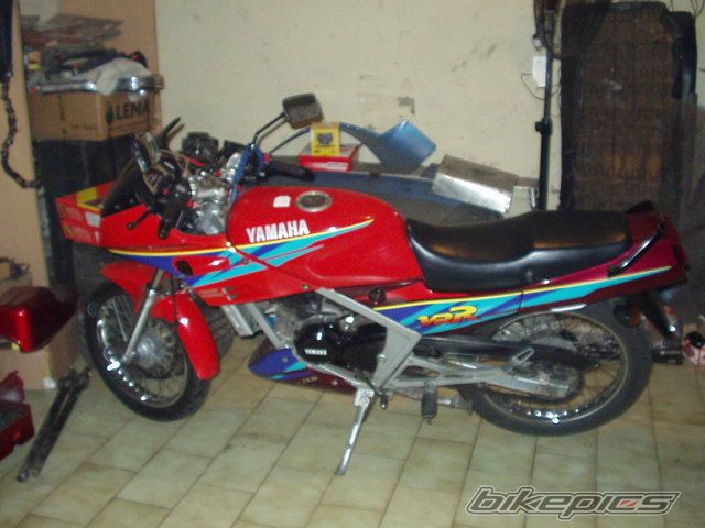 1999 YAMAHA VRR 150 | Picture 1325009 motorcycle photo