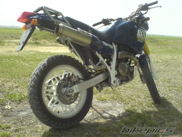 1998 HONDA AX 1 250 | Picture 1325064 motorcycle photo