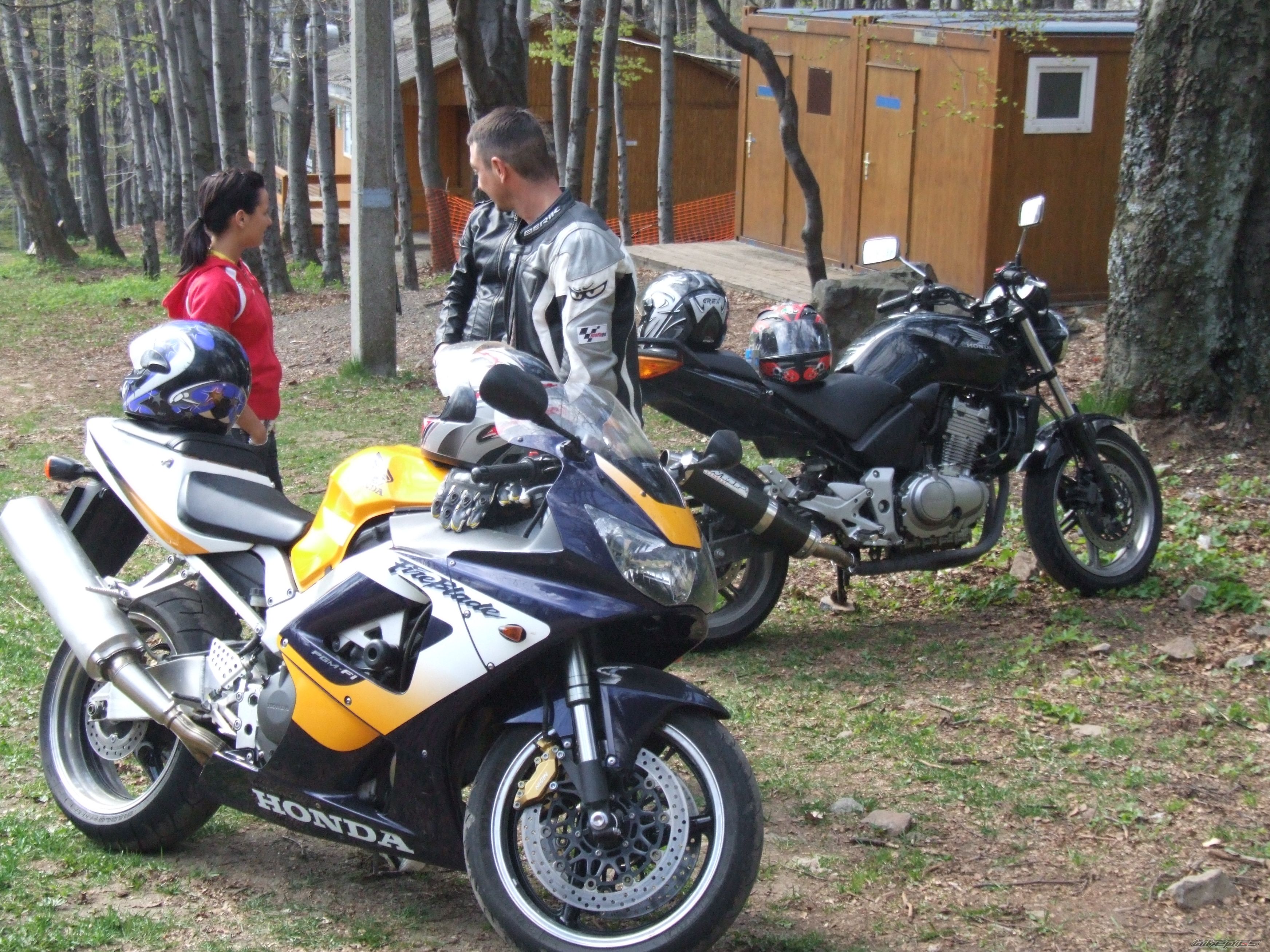 2006 HONDA CBF 500 | Picture 1325303 motorcycle photo
