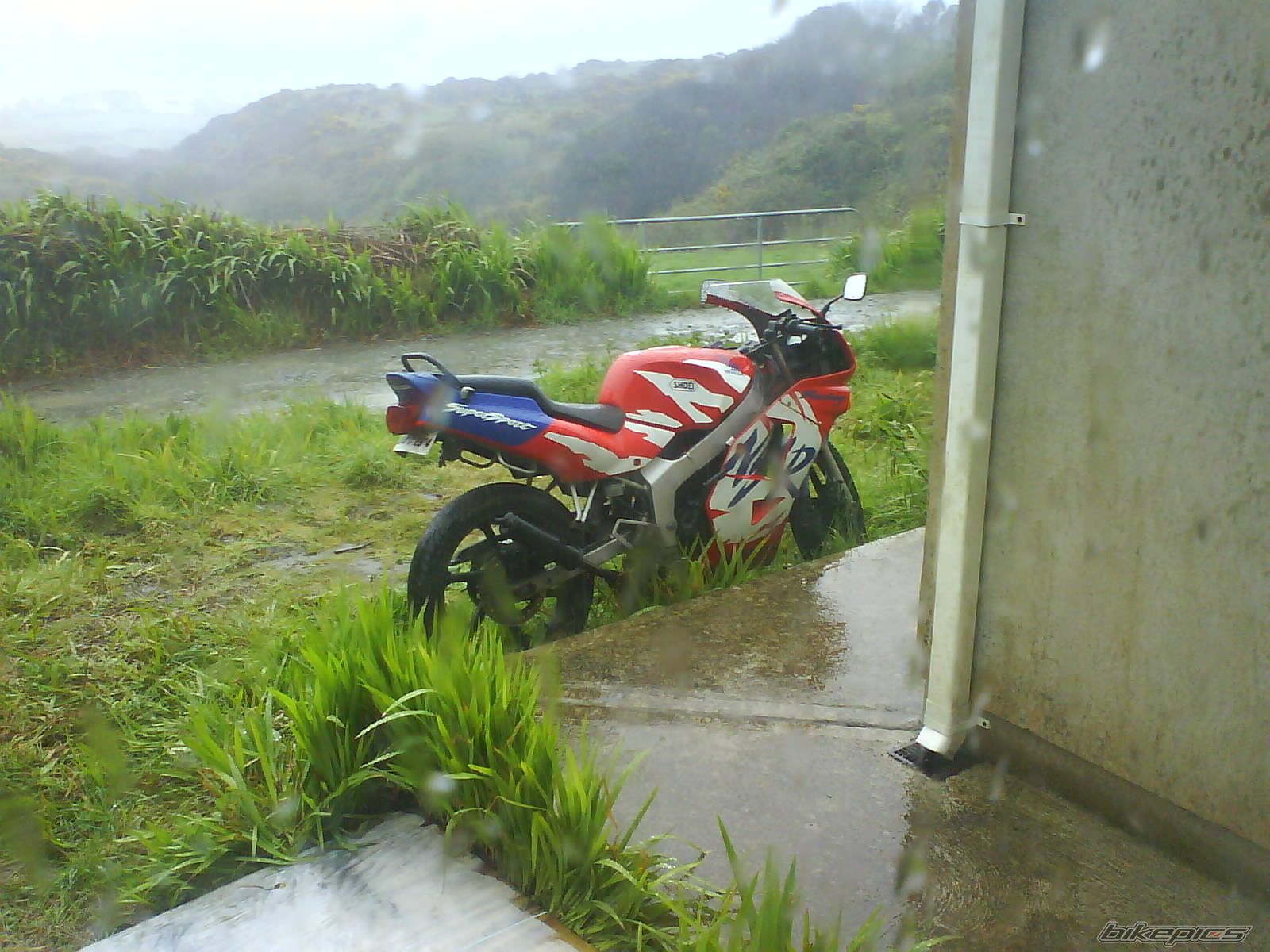 2004 HONDA NS1 80 | Picture 1326279 motorcycle photo