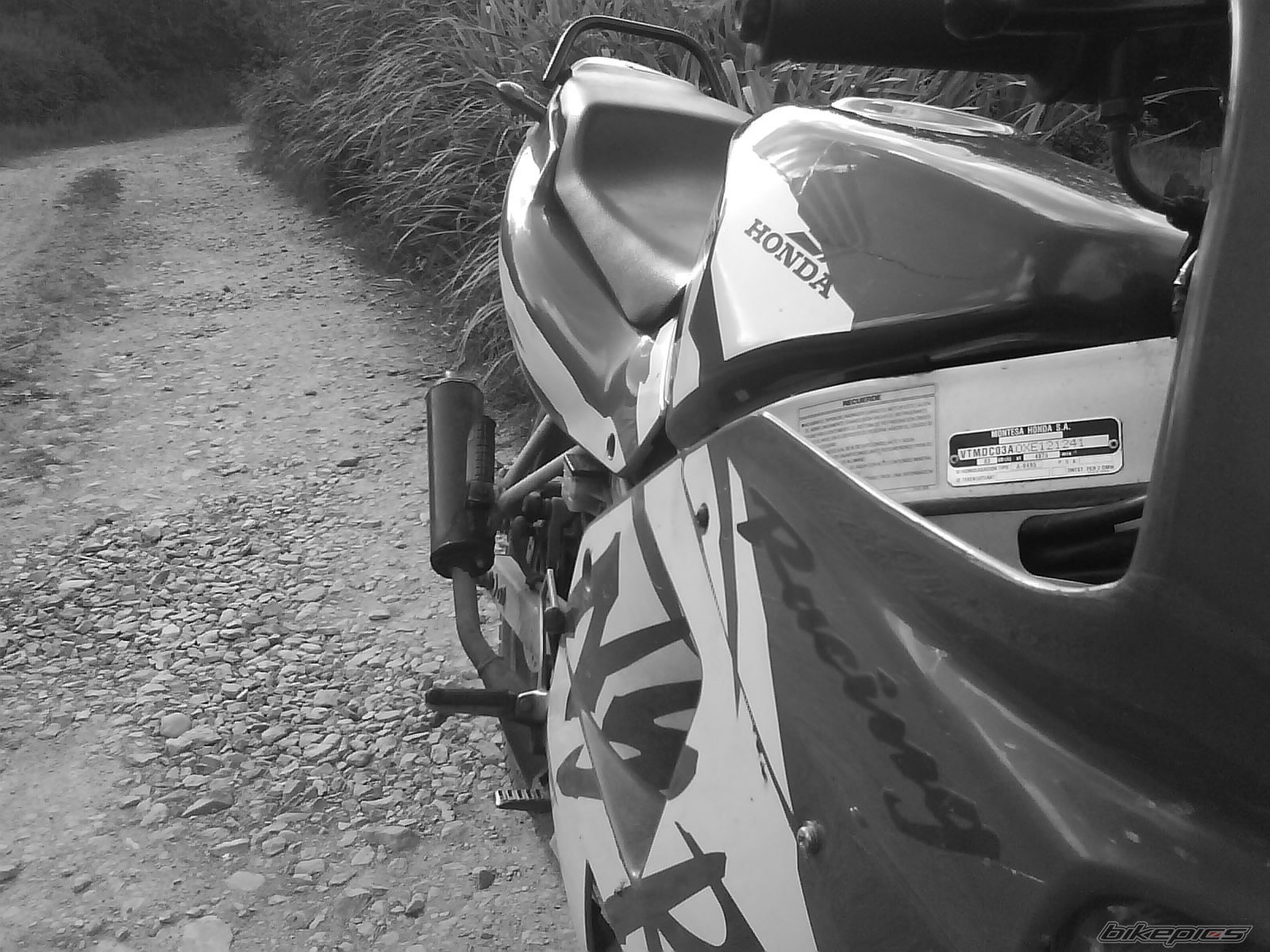 2004 HONDA NS1 80 | Picture 1326284 motorcycle photo