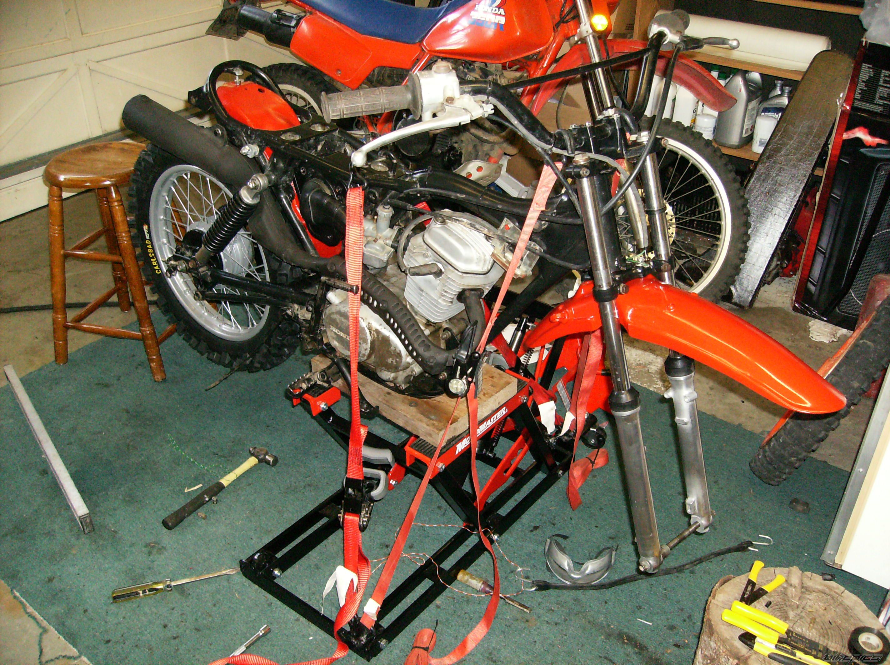 1981 HONDA XL 100 | Picture 1326423 motorcycle photo