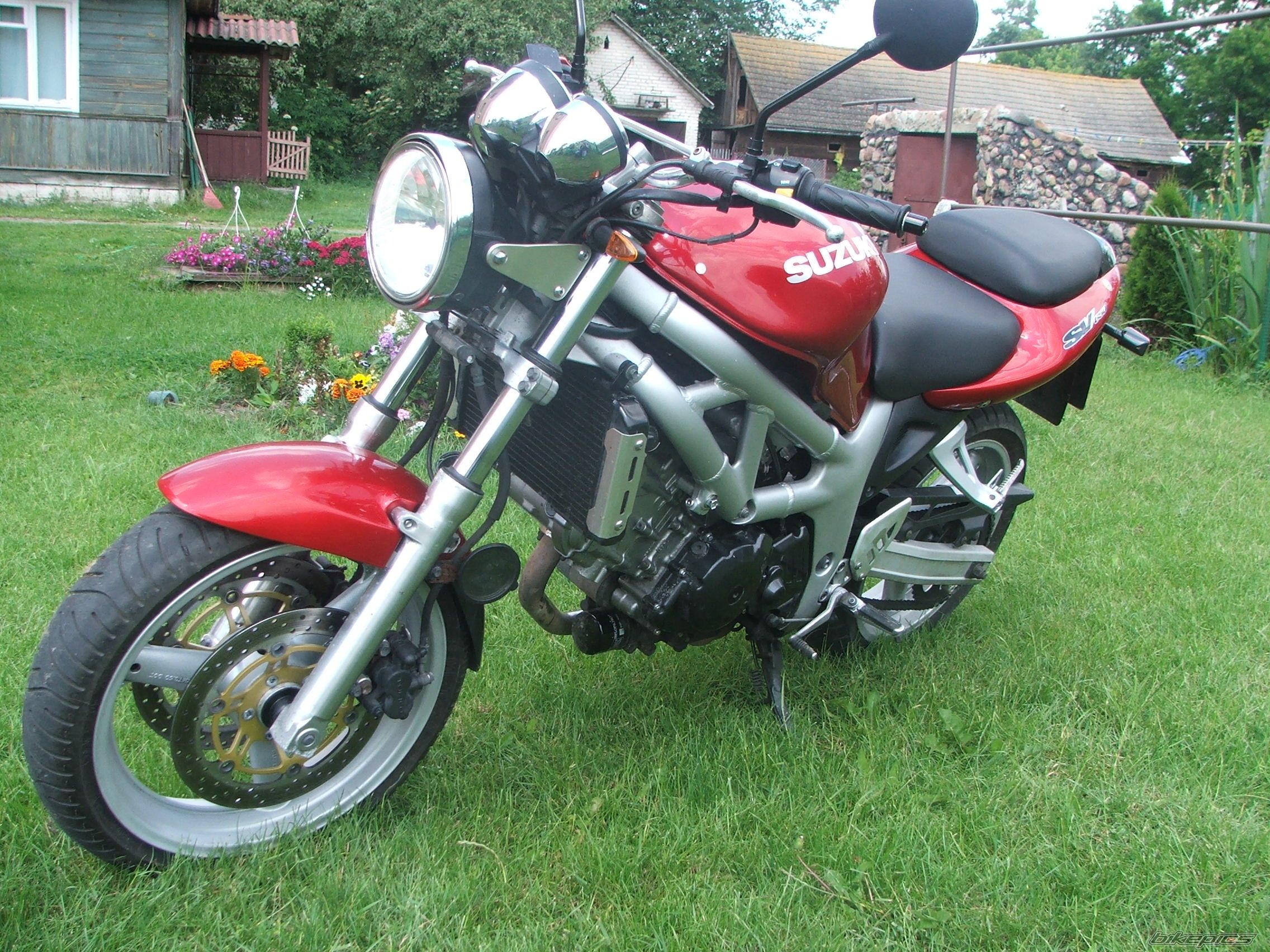 2001 SUZUKI SV 650 | Picture 1326657 motorcycle photo