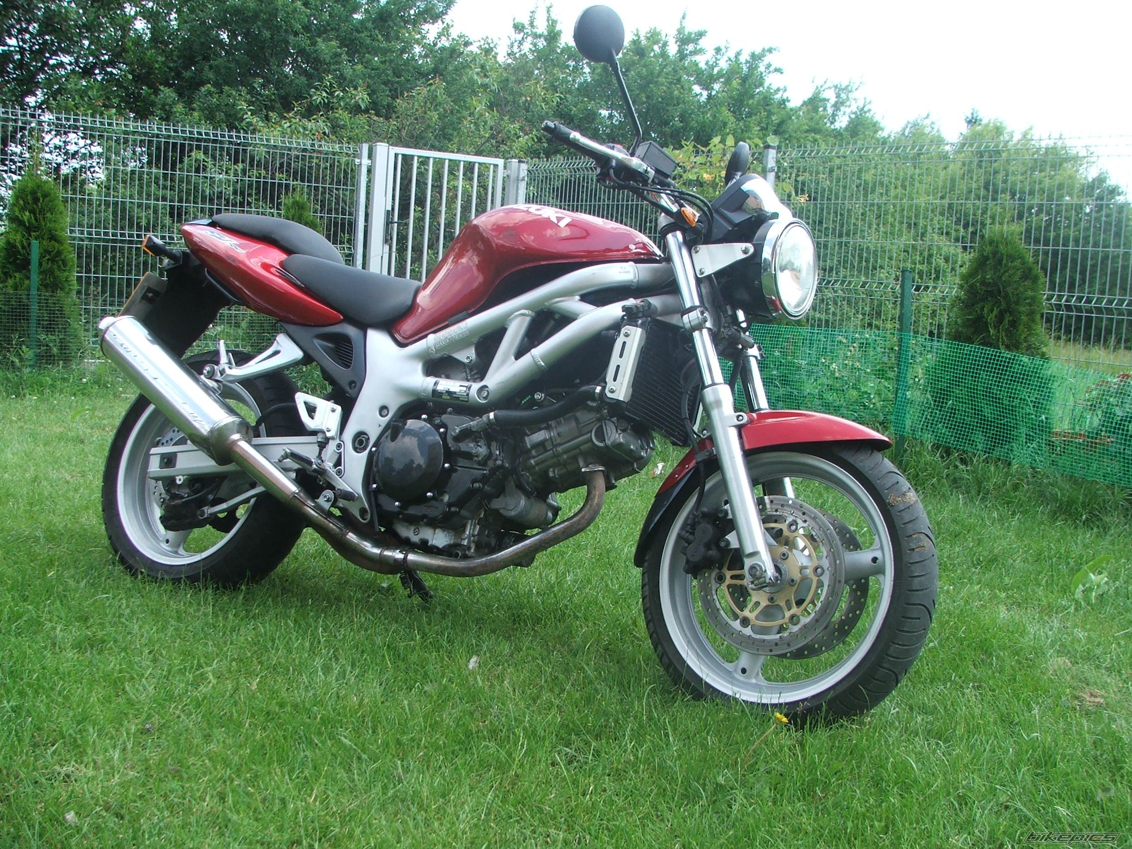 2001 SUZUKI SV 650 | Picture 1326659 motorcycle photo