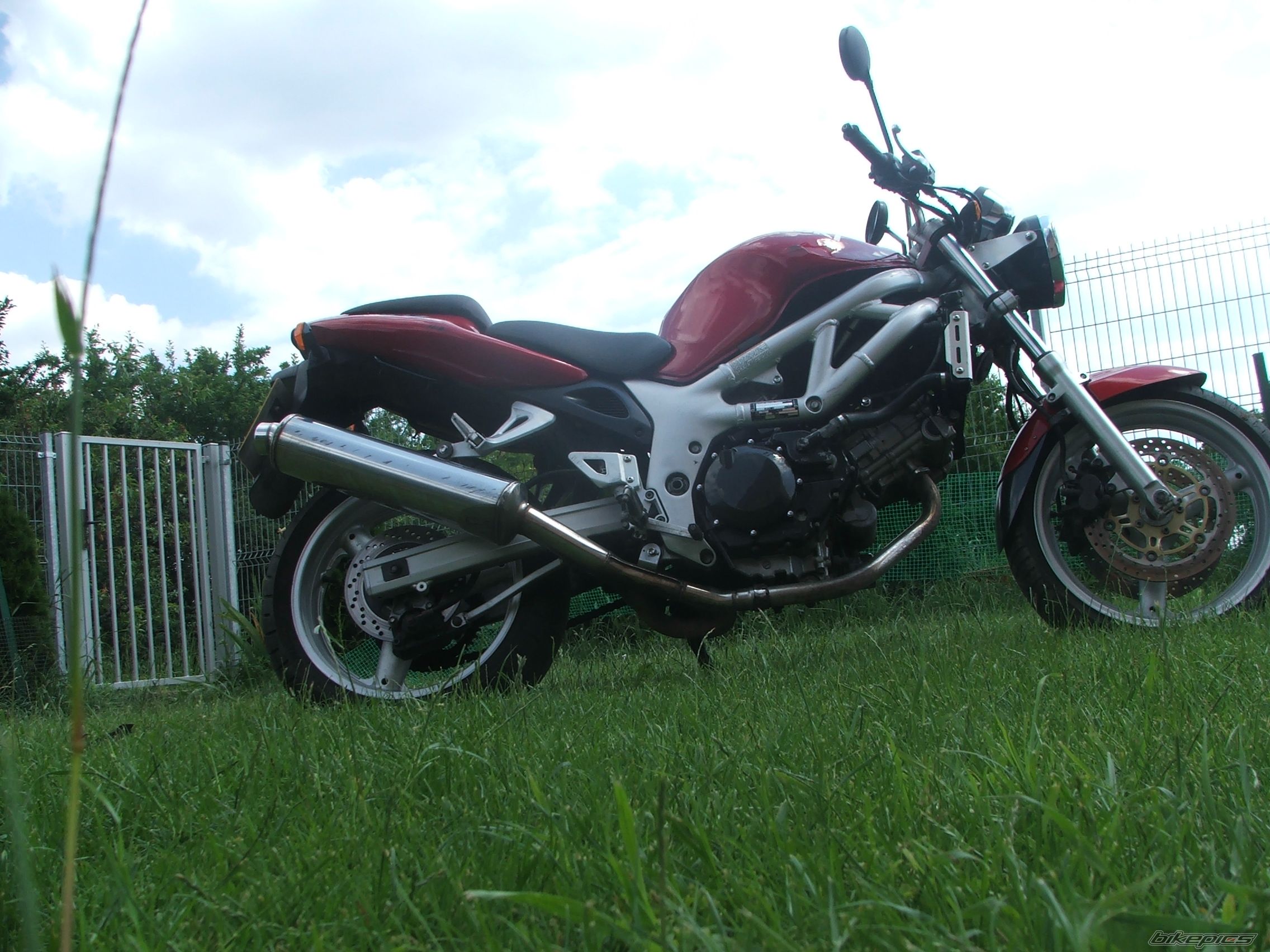 2001 SUZUKI SV 650 | Picture 1326661 motorcycle photo