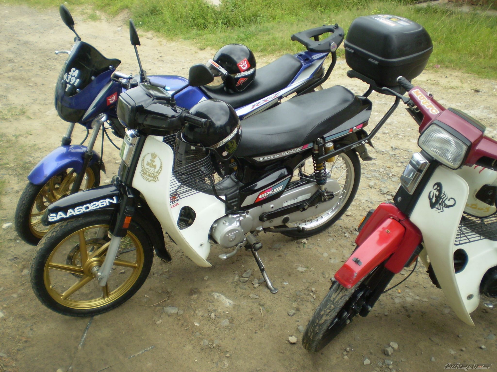 2008 HONDA EX5 DREAM | Picture 1326665 motorcycle photo