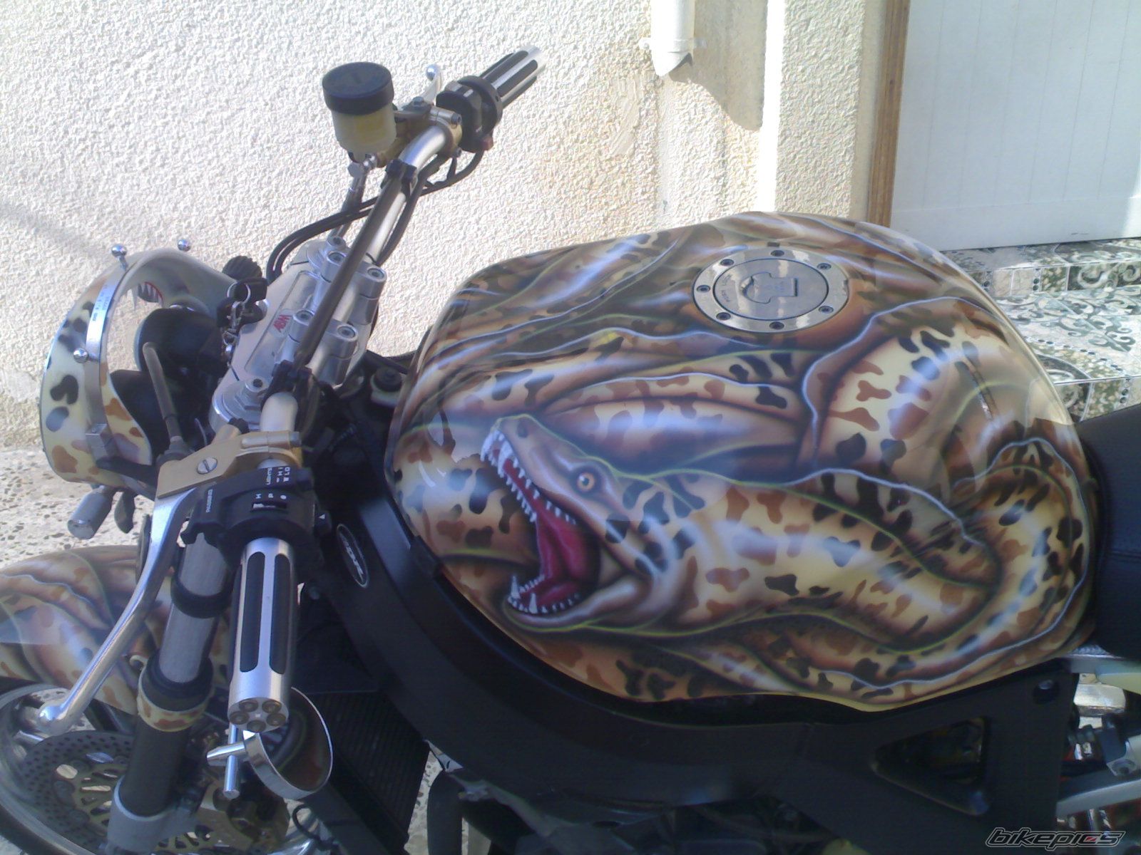 1998 HONDA CBR 900 | Picture 1326667 motorcycle photo