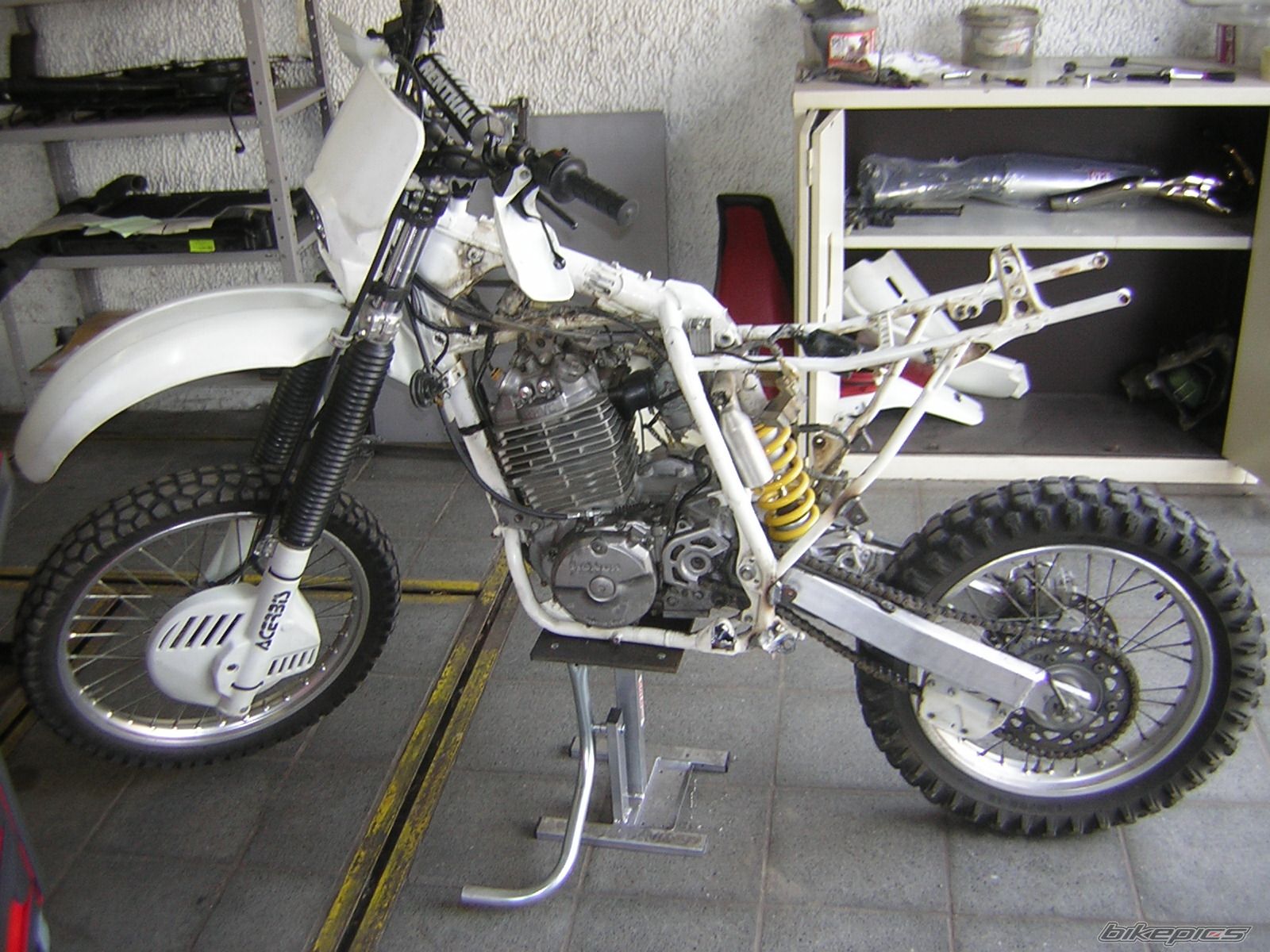 2008 HONDA XR 600 | Picture 1327545 motorcycle photo