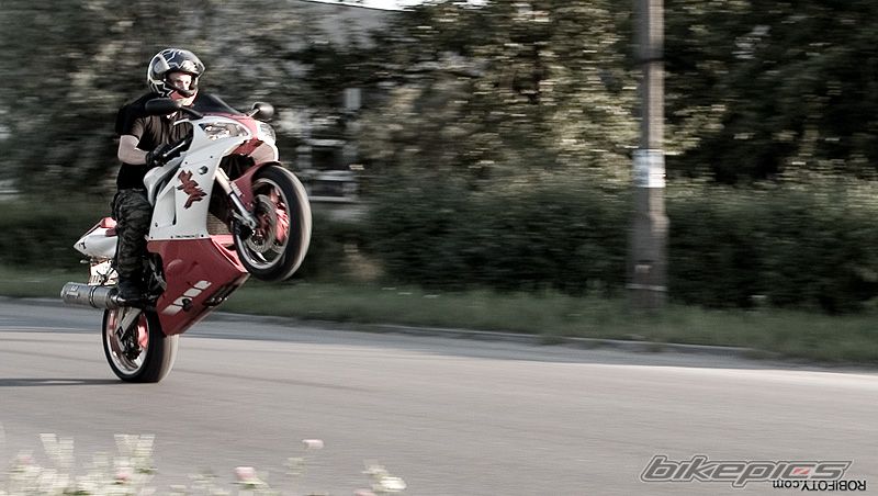 1998 YAMAHA YZF R1 | Picture 1327645 motorcycle photo