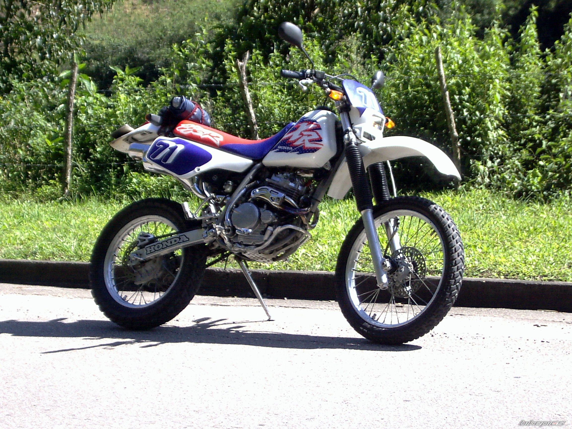 1995 HONDA XR 250 | Picture 1327905 motorcycle photo