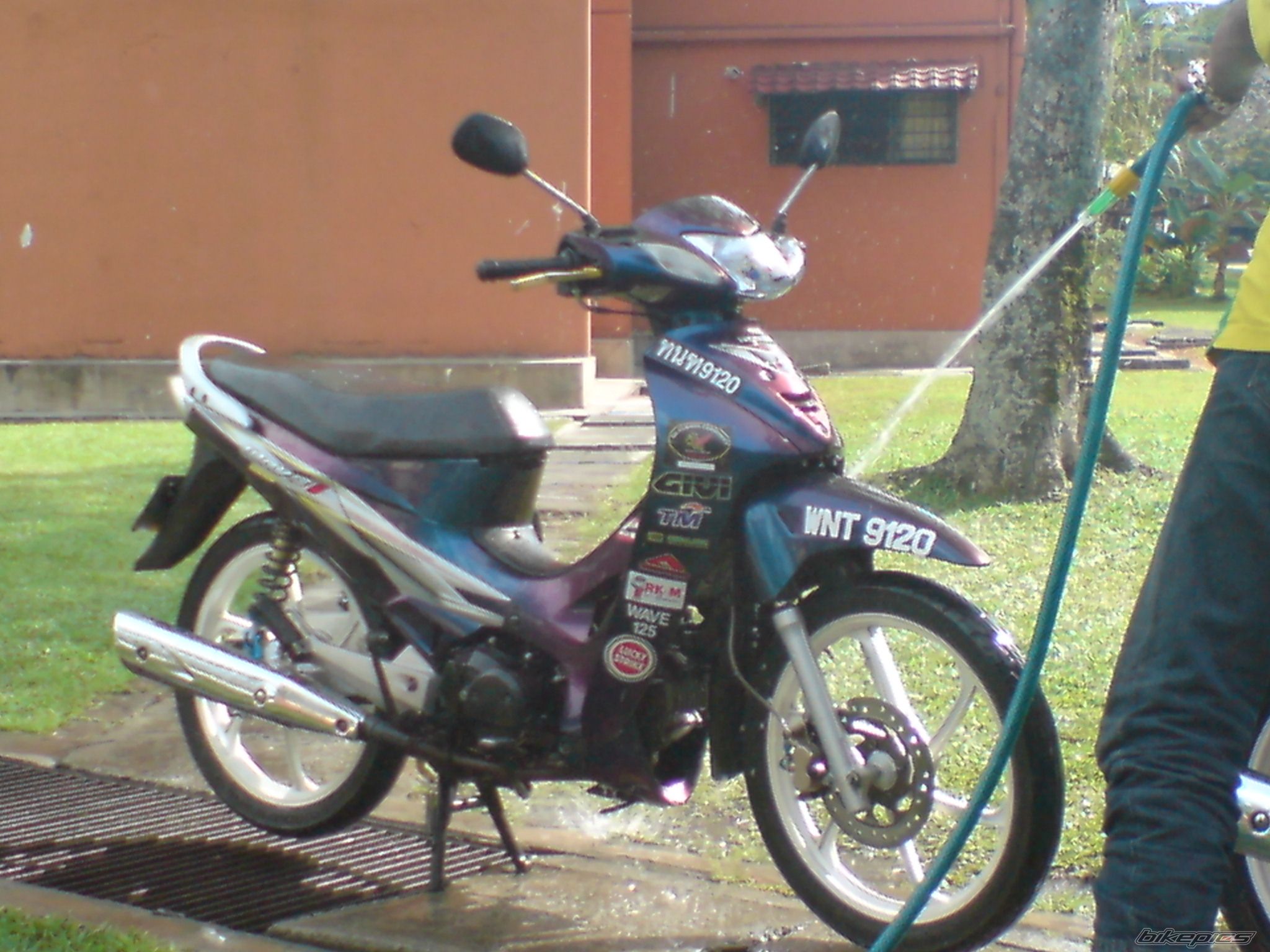 2006 HONDA WAVE 125 | Picture 1328601 motorcycle photo