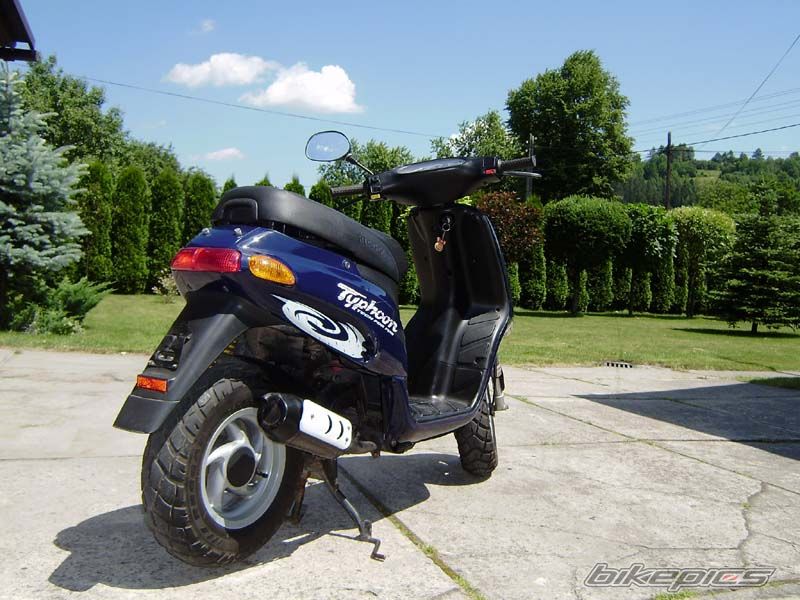 1999 PIAGGIO TYPHOON 50 | Picture 1328724 motorcycle photo