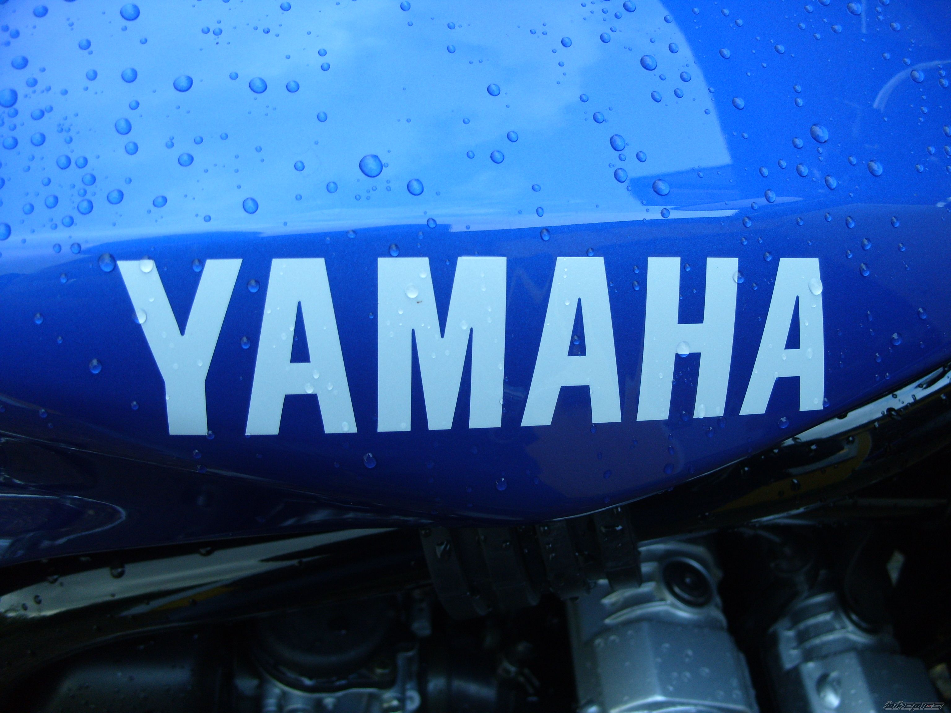 2002 YAMAHA FZS 600 FAZER | Picture 1329039 motorcycle photo