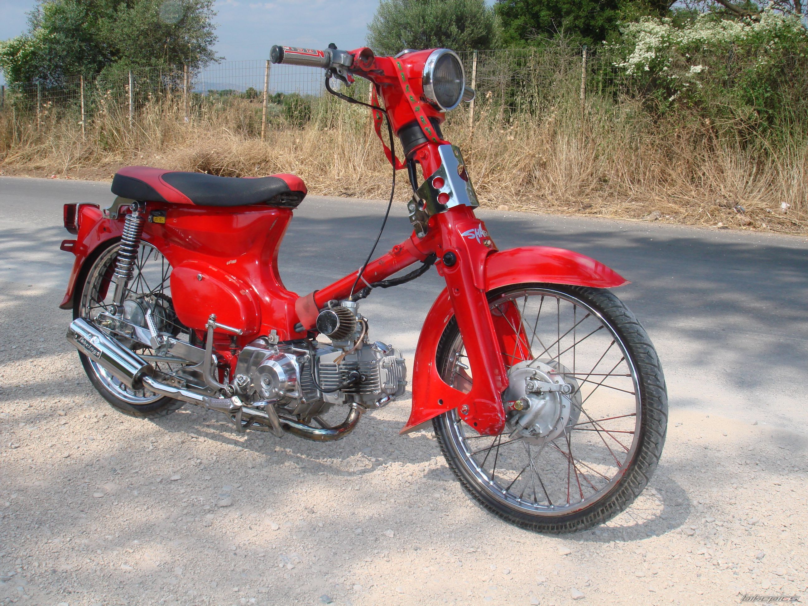 2008 HONDA GLX 50 | Picture 1329052 motorcycle photo