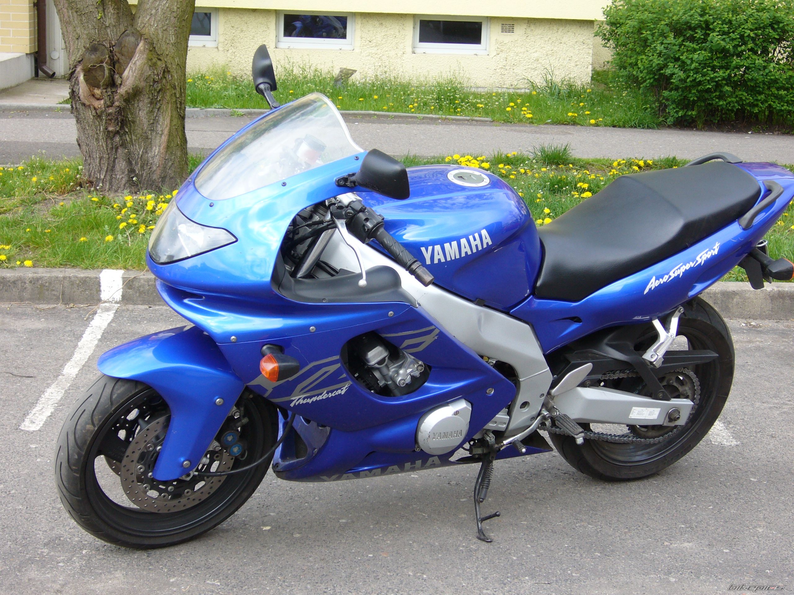 2002 YAMAHA YZF 600 | Picture 1329152 motorcycle photo