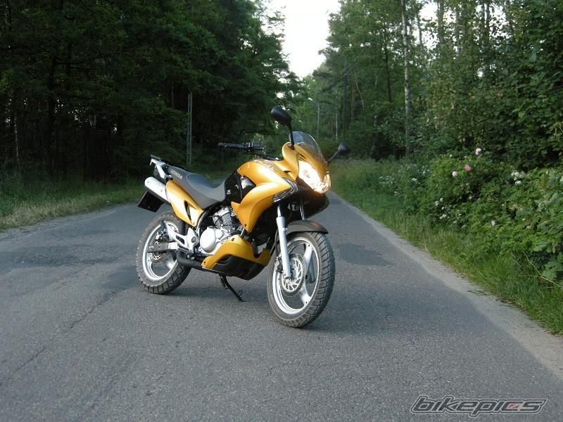 2008 HONDA XLV 125 VARADERO | Picture 1329255 motorcycle photo