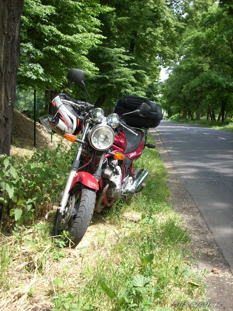 1999 YAMAHA XJ 600 | Picture 1329351 motorcycle photo