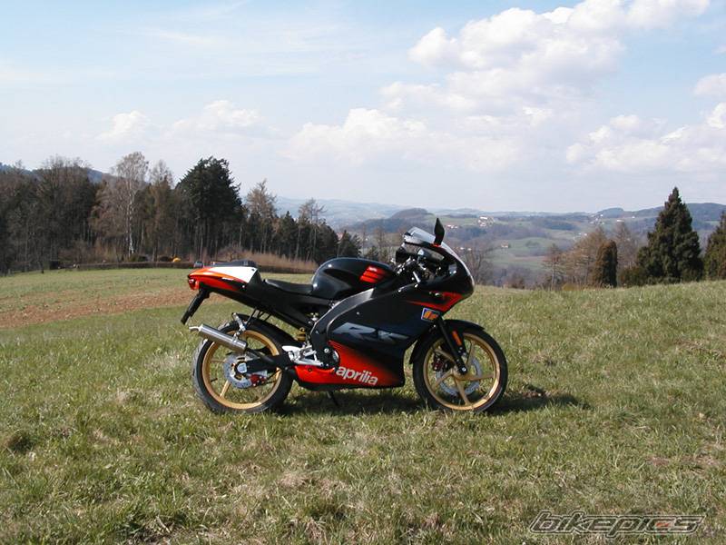 2004 APRILIA RS 50 | Picture 133037 motorcycle photo