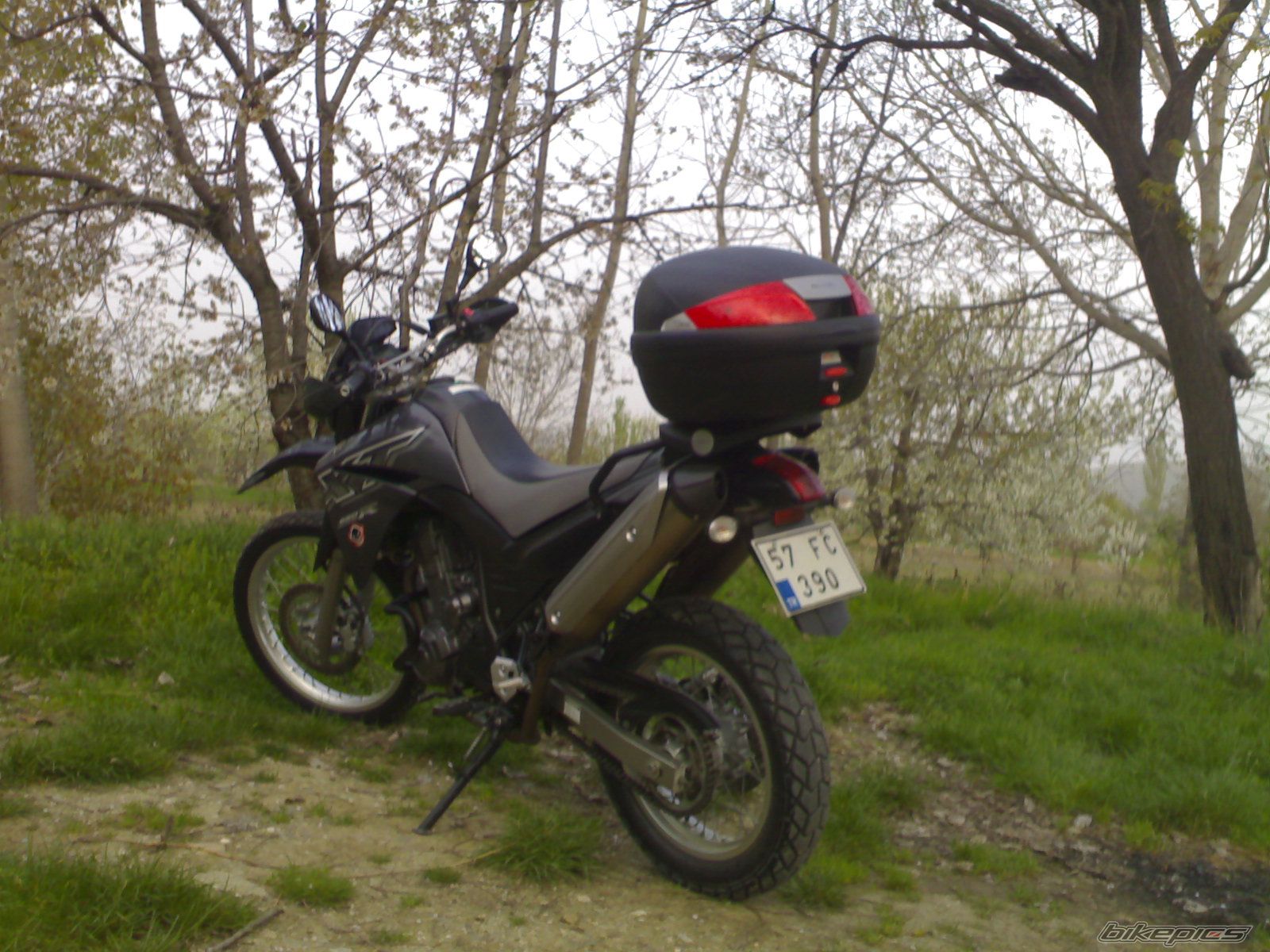 2005 YAMAHA XT 660 | Picture 1331051 motorcycle photo