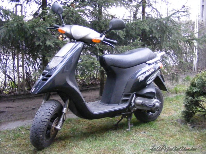 1995 GILERA TYPHOON 50 | Picture 1331082 motorcycle photo
