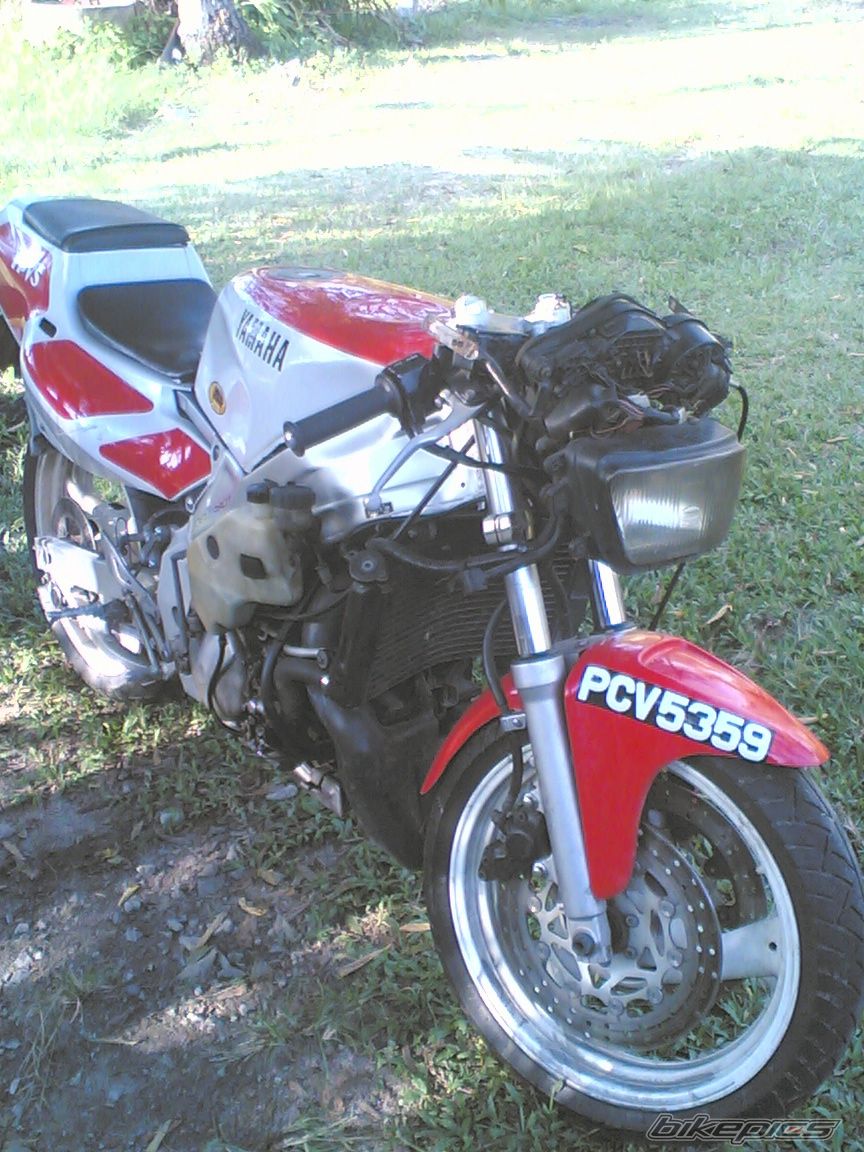 2008 YAMAHA TZR 250 | Picture 1331292 motorcycle photo