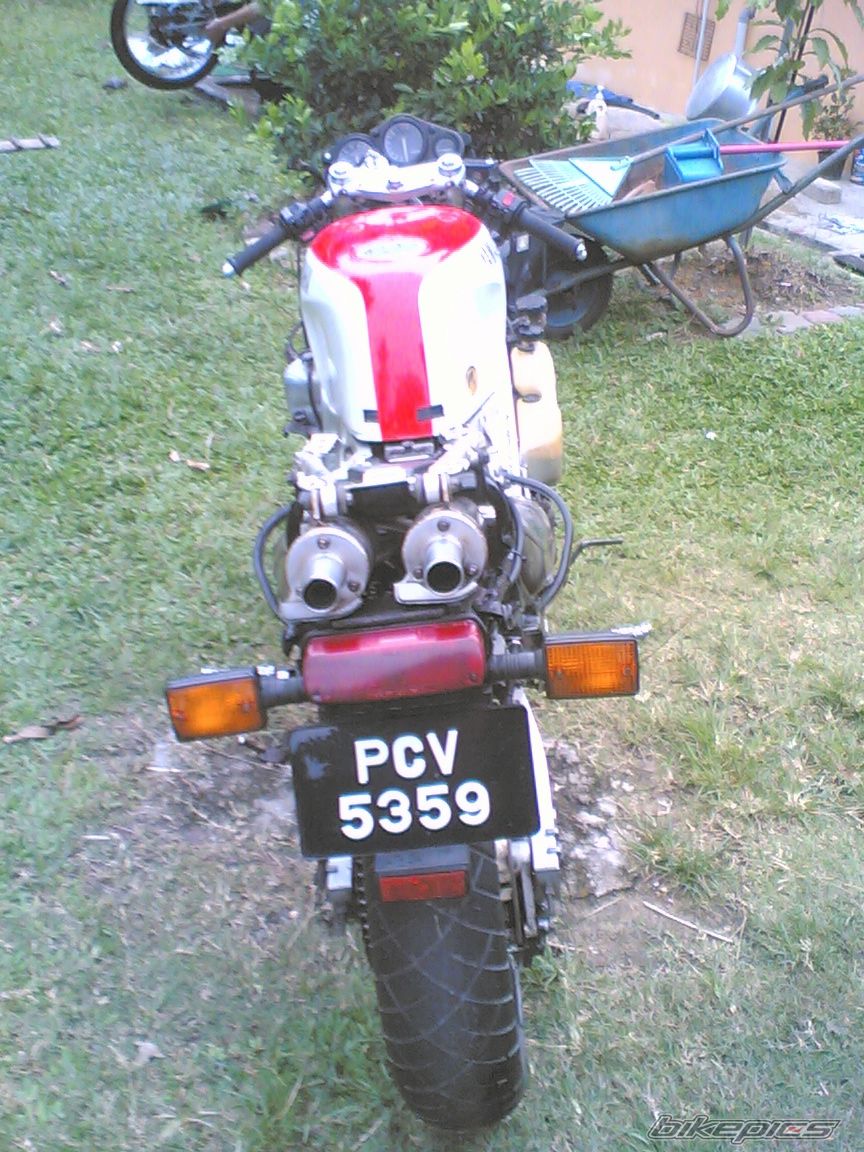 2008 YAMAHA TZR 250 | Picture 1331294 motorcycle photo